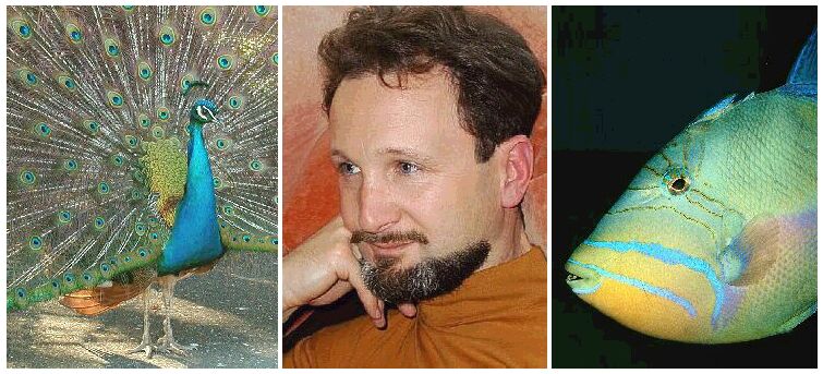 the universal portrait of an artist